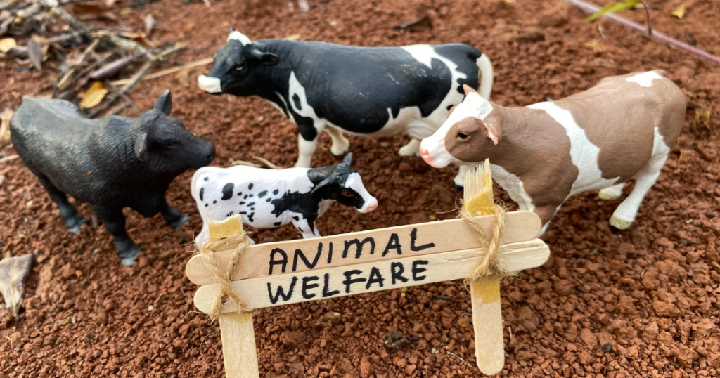 14 Quality ways to know Introduction to Animal Welfare. पशु कल्याण का परिचय जानने के 14 गुणवत्तापूर्ण उपाय।